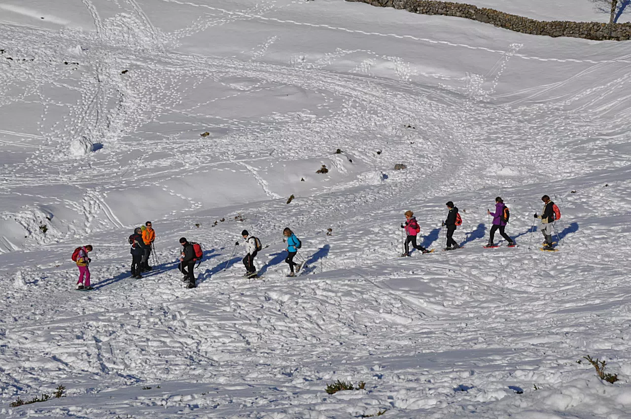 naturaleza, paseos, senderos, senderismo, embalse del ebro, monte hijedo