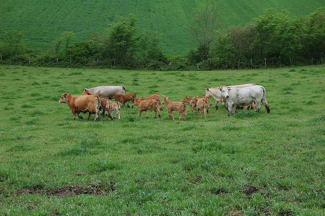 Inicio - Hotel Rural Anamari